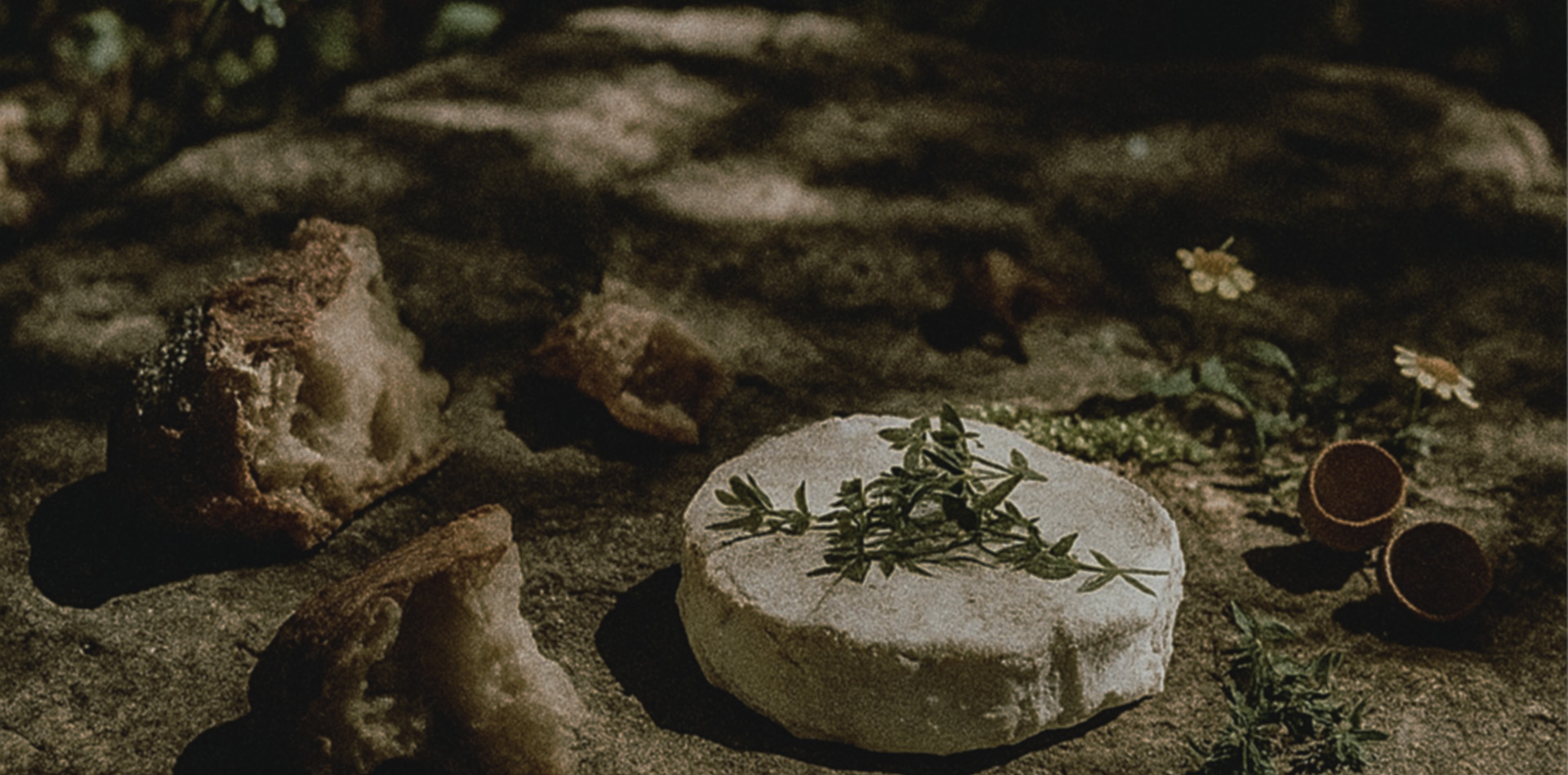 Sustainable Development