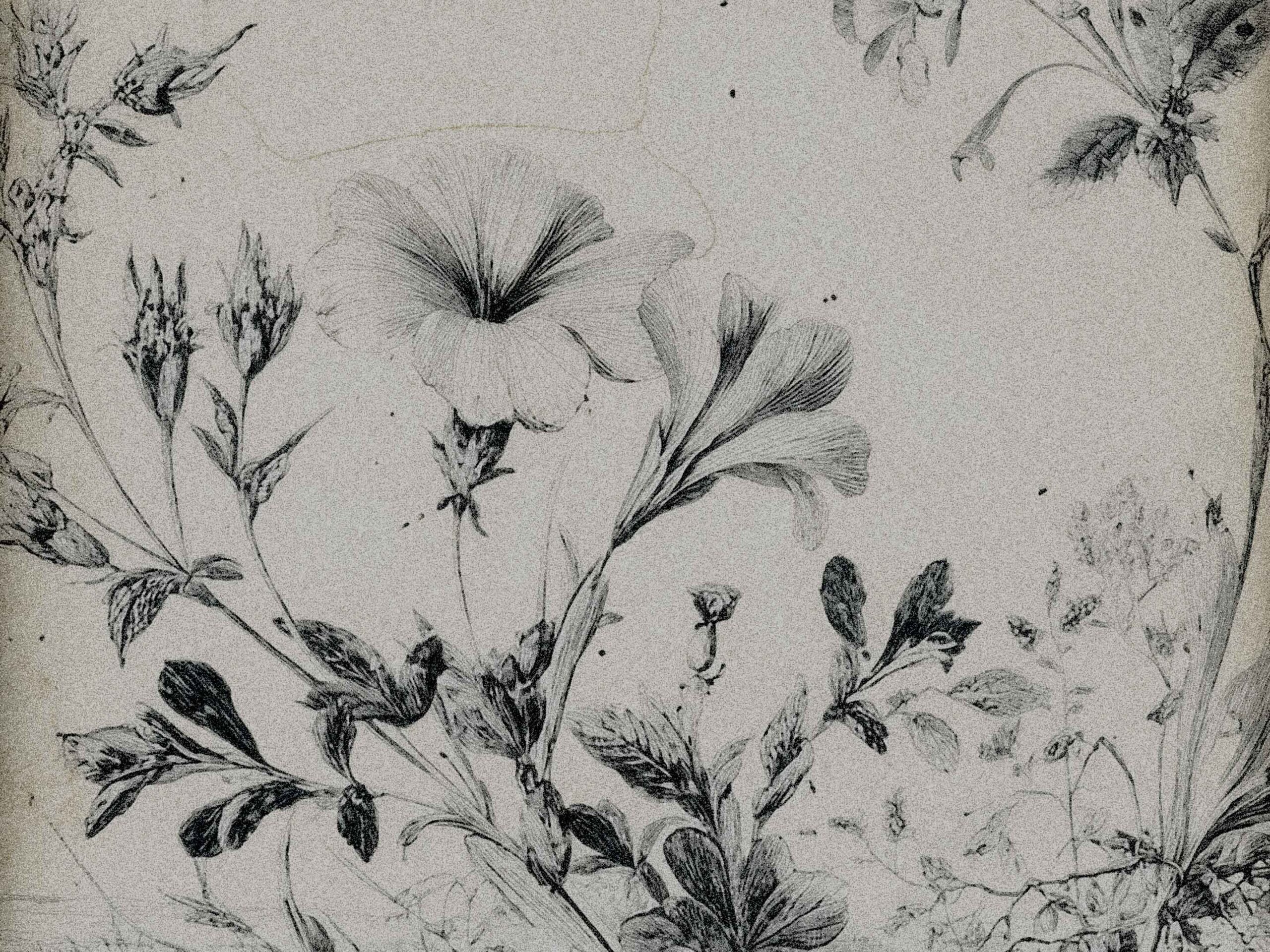 Our Philosophy: Design Guided by Nature